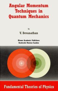 Angular Momentum Techniques in Quantum Mechanics (Fundamental Theories of Physics)