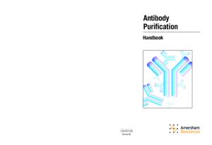 Antibody Purification