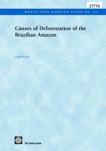 Causes of Deforestation in the Brazilian Amazon