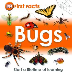 First Facts: Bugs