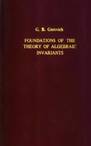 Foundations of the theory of algebraic invariants
