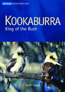 Kookaburra: king of the bush