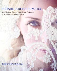 Picture Perfect Practice: A Self-Training Guide to Mastering the Challenges of Taking World-Class Photographs
