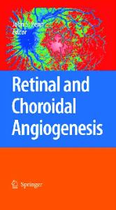 Retinal and choroidal angiogenesis