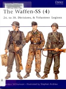 The Waffen-SS: ''24. to 38. Divisions, & Volunteer Legions''