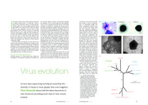 Virus Evolution